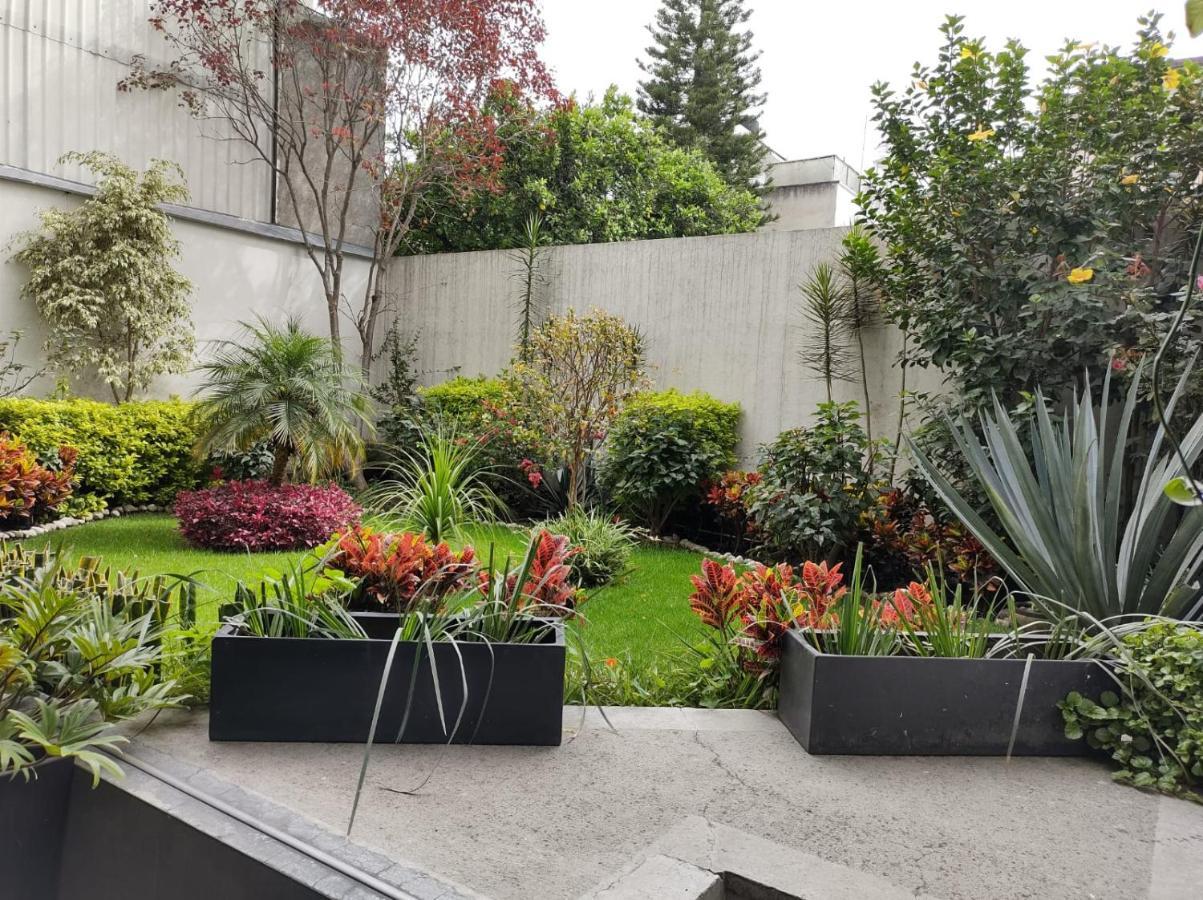 Departamento Entero En El Corazon De La Ciudad Apartman Mexikóváros Kültér fotó